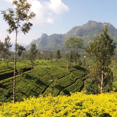 Petra Renate Schlacher auf Reisen