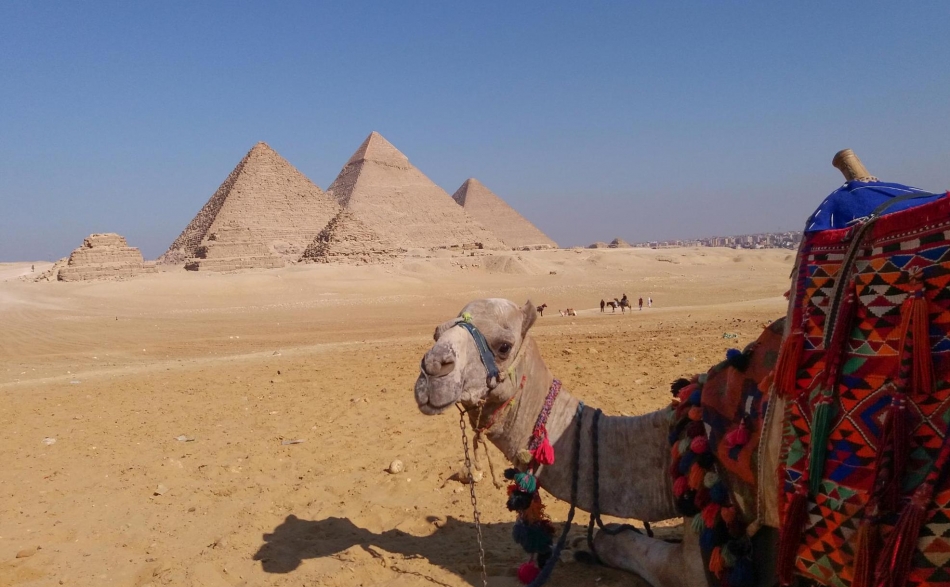 Petra Renate Schlacher in Ägypten